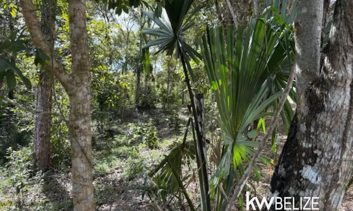 kellerwilliamsbelize-ll172602si-02