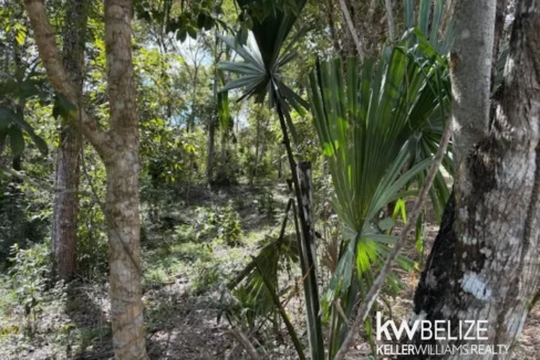kellerwilliamsbelize-ll172602si-02