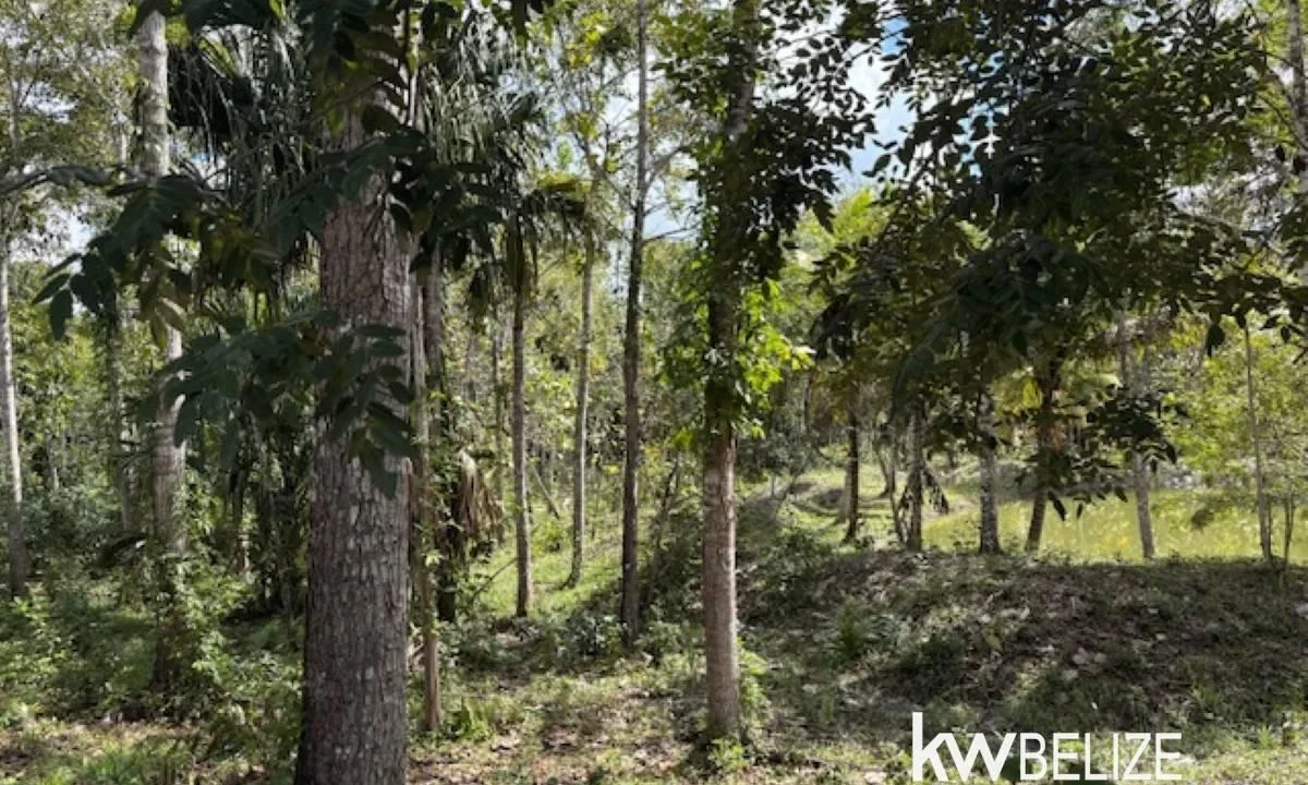 kellerwilliamsbelize-ll172602si-03