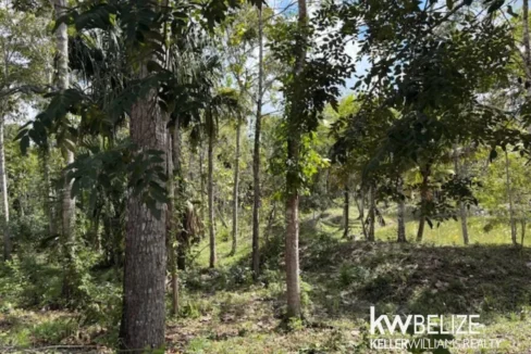 kellerwilliamsbelize-ll172602si-03