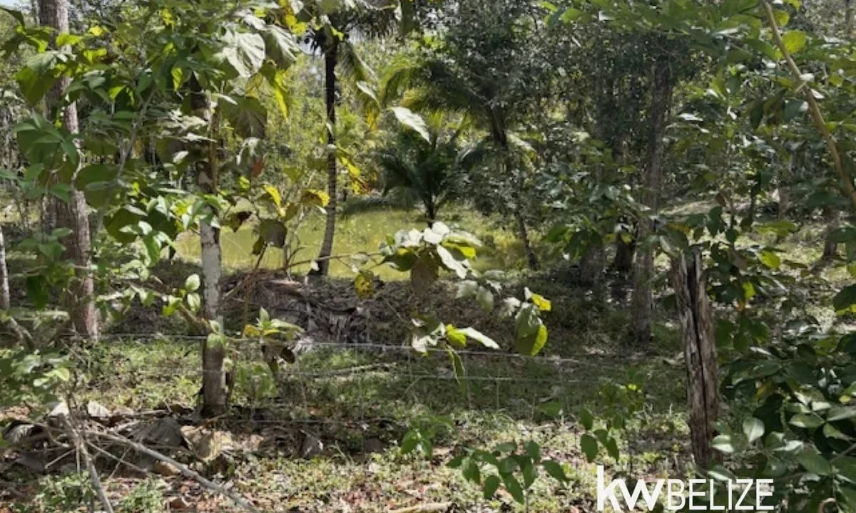 kellerwilliamsbelize-ll172602si-04