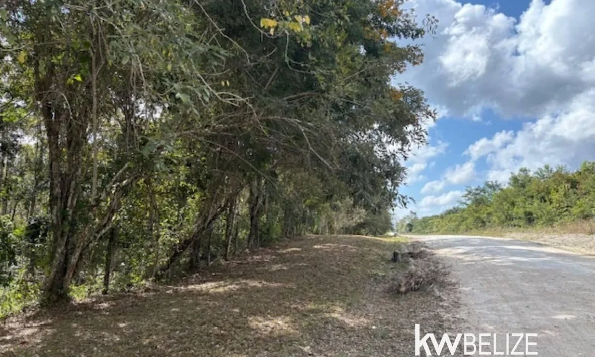 kellerwilliamsbelize-ll172602si-05