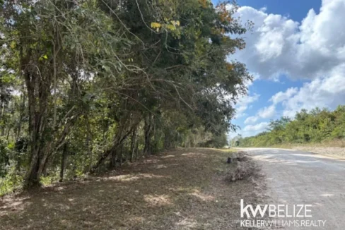 kellerwilliamsbelize-ll172602si-05