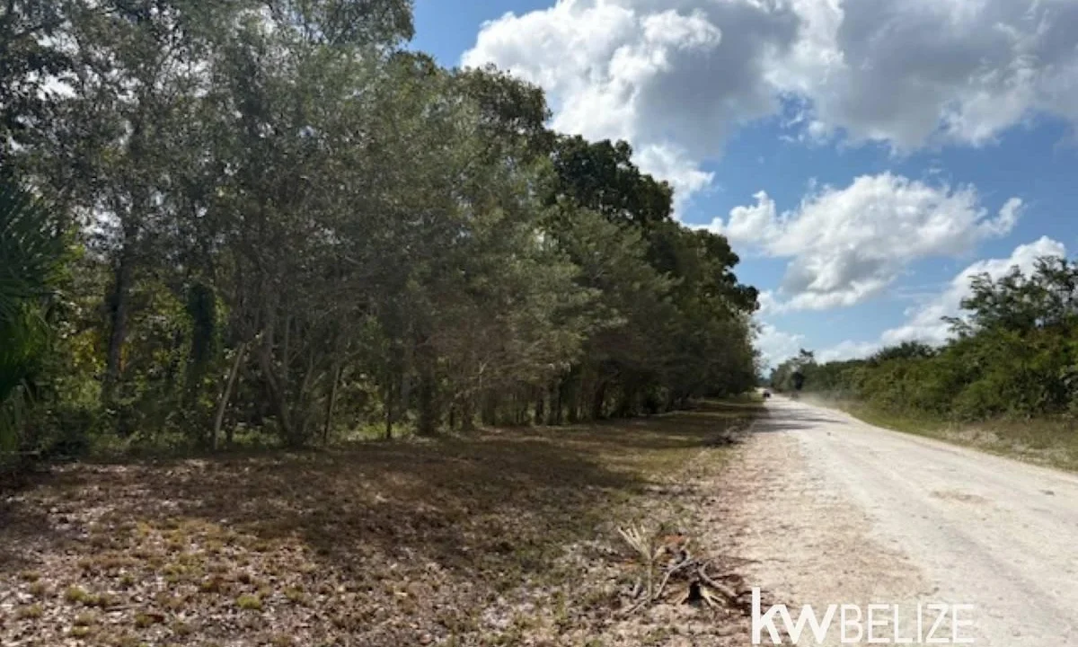 kellerwilliamsbelize-ll172602si-06