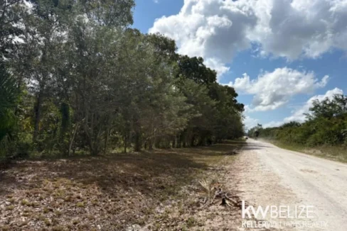 kellerwilliamsbelize-ll172602si-06