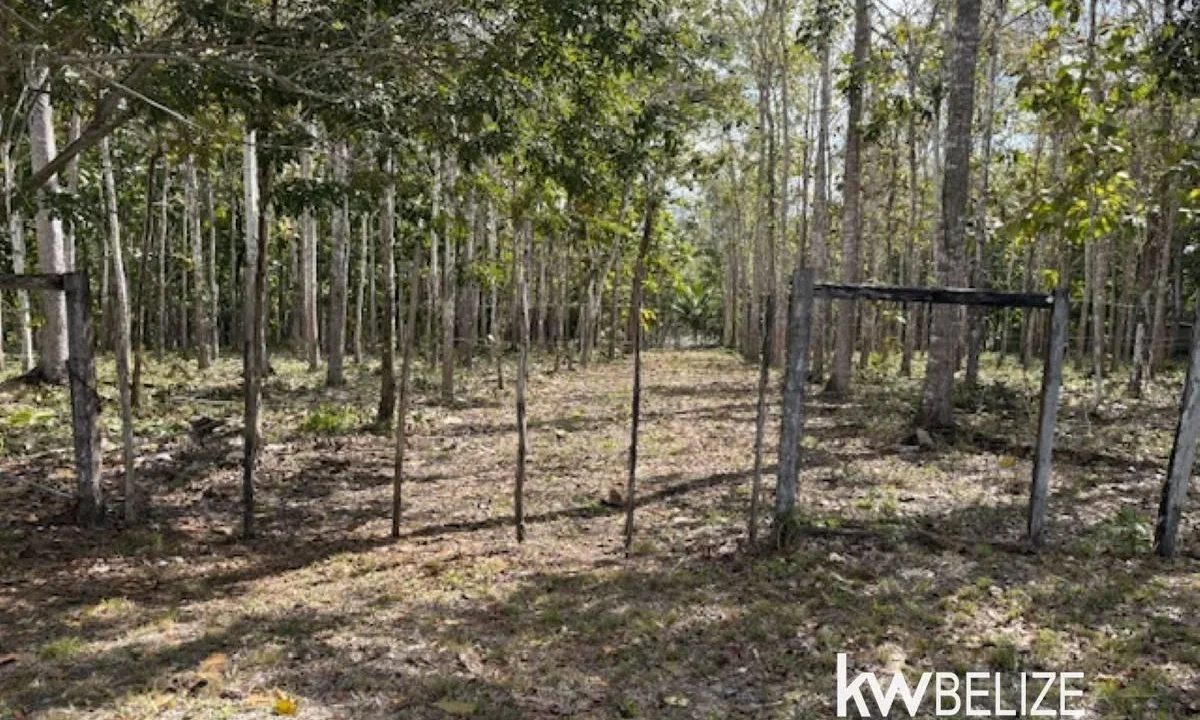 kellerwilliamsbelize-ll172602si-07