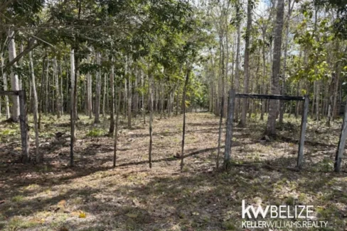 kellerwilliamsbelize-ll172602si-07