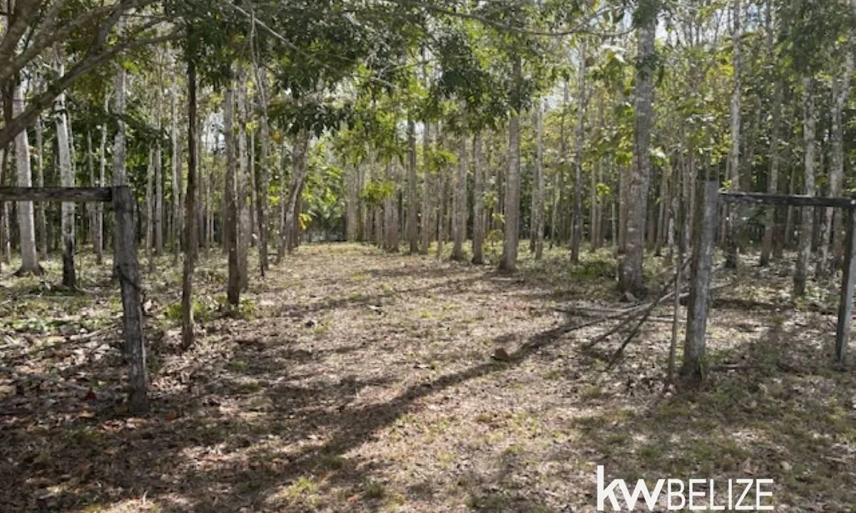 kellerwilliamsbelize-ll172602si-08