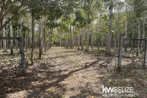 kellerwilliamsbelize-ll172602si-08