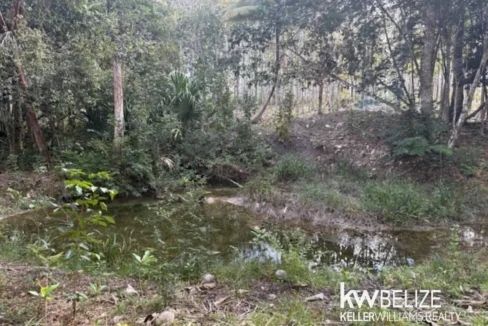 kellerwilliamsbelize-ll172602si-09