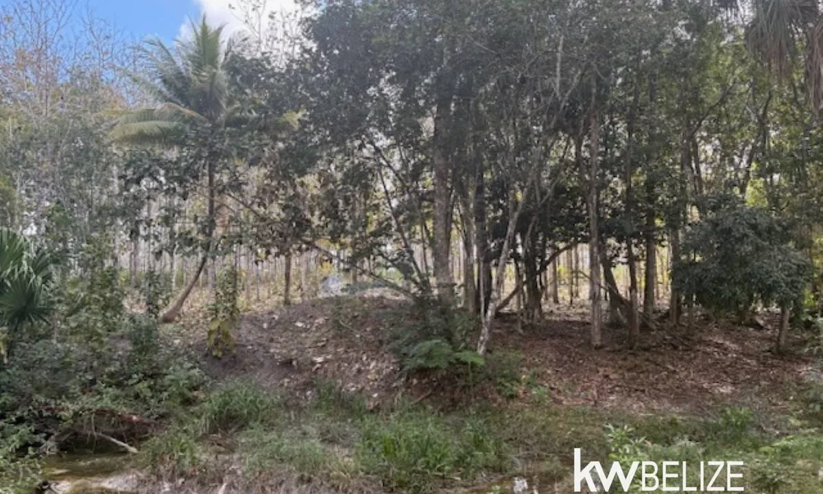 kellerwilliamsbelize-ll172602si-10
