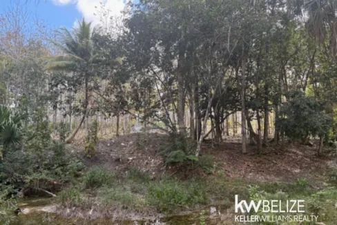 kellerwilliamsbelize-ll172602si-10