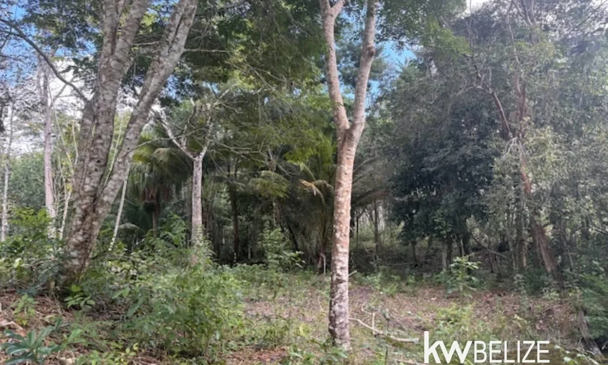 kellerwilliamsbelize-ll172602si-11