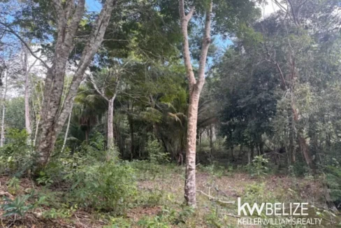 kellerwilliamsbelize-ll172602si-11