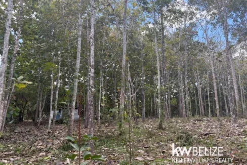 kellerwilliamsbelize-ll172602si-12