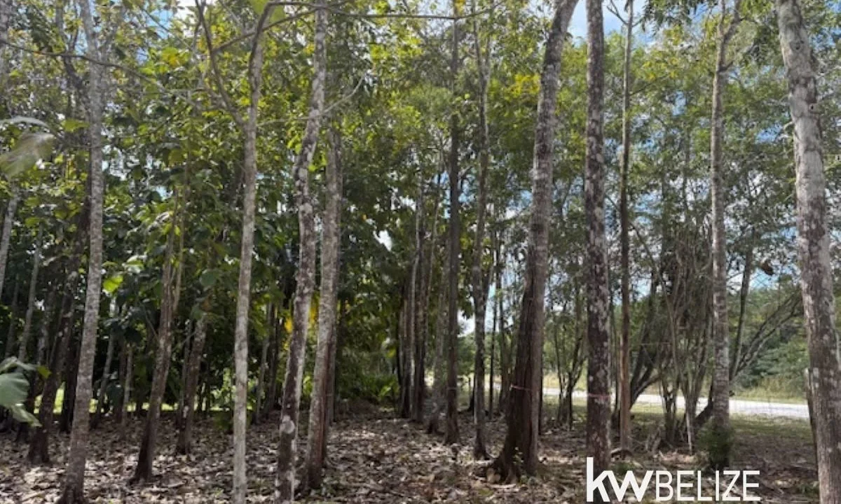 kellerwilliamsbelize-ll172602si-14