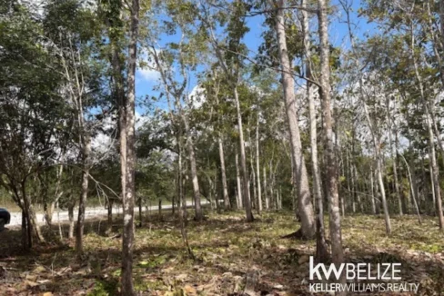kellerwilliamsbelize-ll172602si-15
