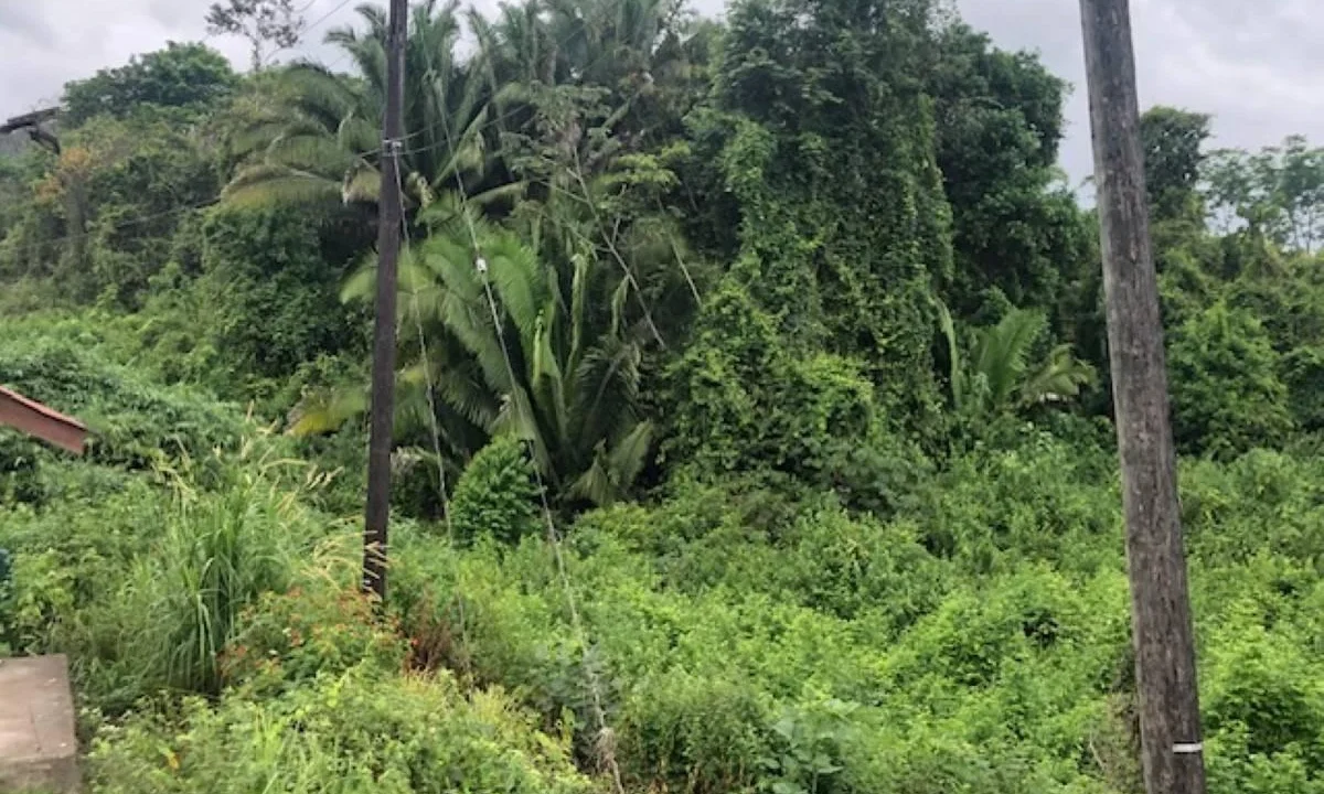 kellerwilliamsbelize-ll222404hh-04