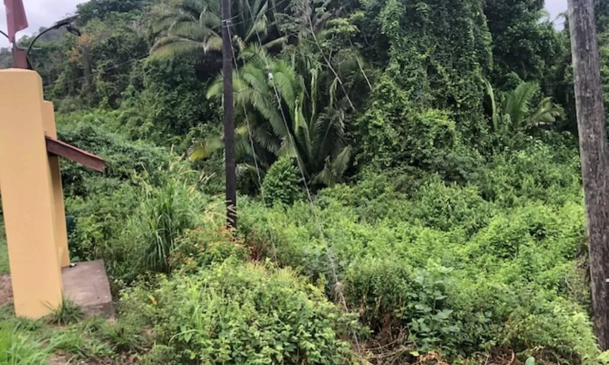 kellerwilliamsbelize-ll222404hh-05
