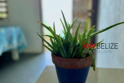 kellerwilliamsbelize-mlh042311pg-20