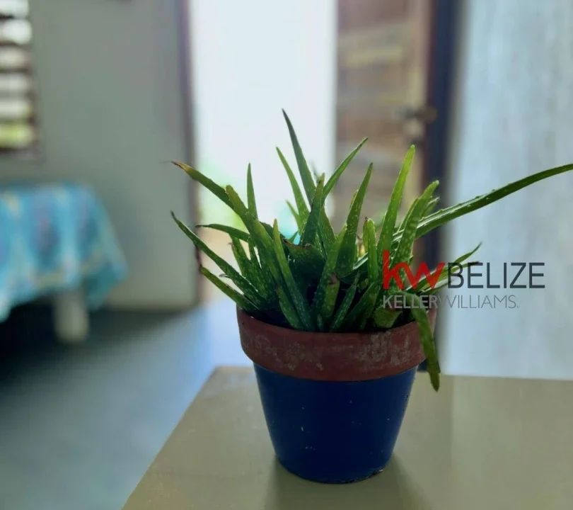 kellerwilliamsbelize-mlh042311pg-20