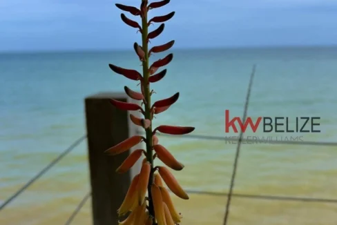kellerwilliamsbelize-mlh042311pg-41