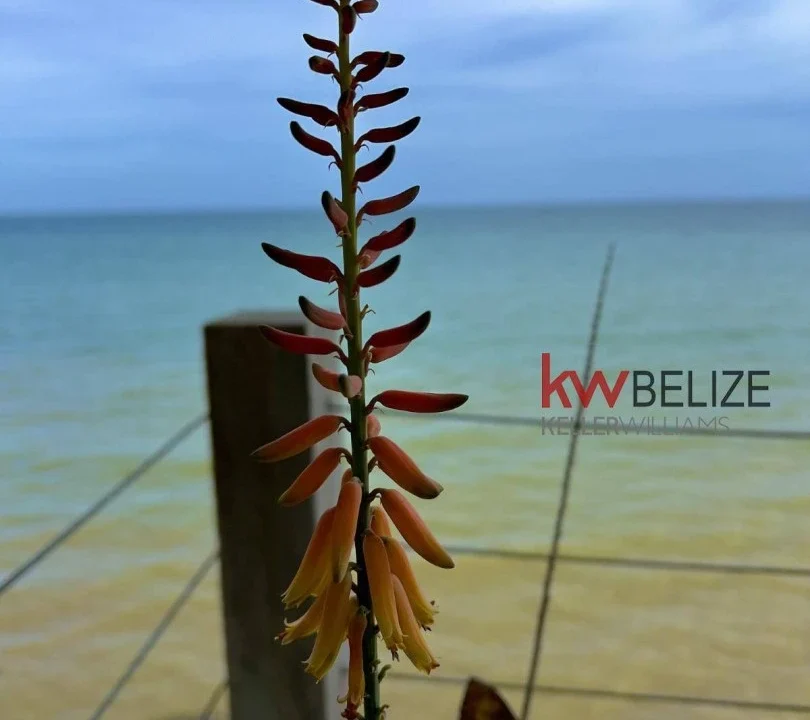 kellerwilliamsbelize-mlh042311pg-41