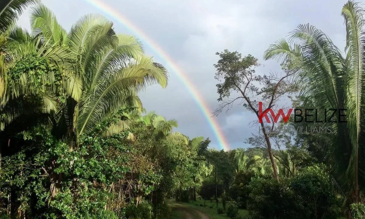 kellerwilliamsbelize-mth012406pg-04