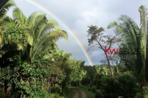 kellerwilliamsbelize-mth012406pg-04