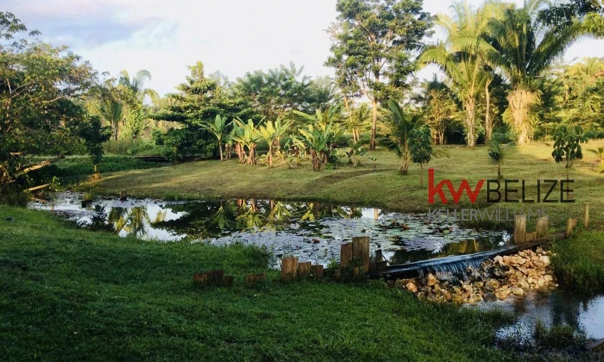 kellerwilliamsbelize-mth012406pg-05
