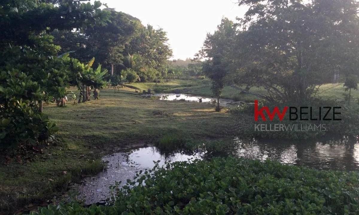 kellerwilliamsbelize-mth012406pg-06