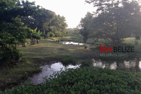 kellerwilliamsbelize-mth012406pg-06