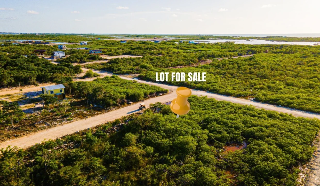 kellerwilliamsbelize-p-15274-06