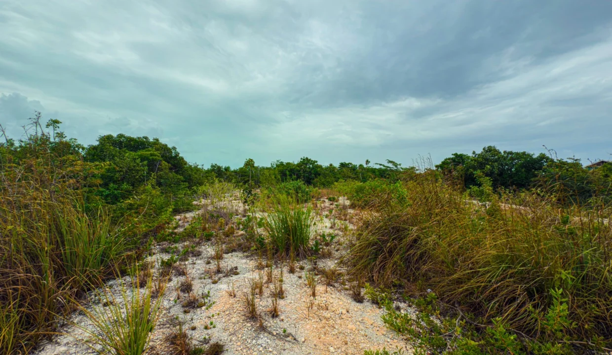 kellerwilliamsbelize-p-8115-jm-08