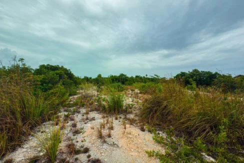 kellerwilliamsbelize-p-8115-jm-08