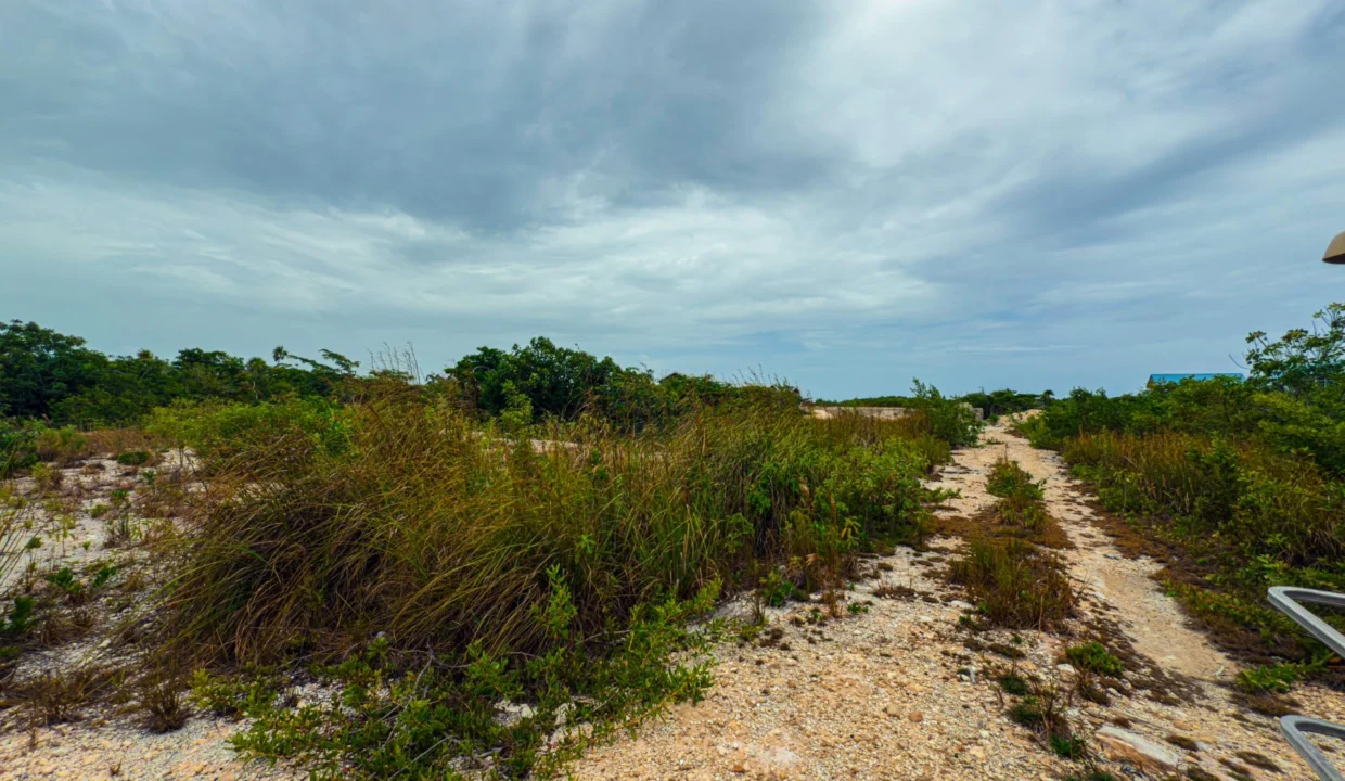 kellerwilliamsbelize-p-8115-jm-09