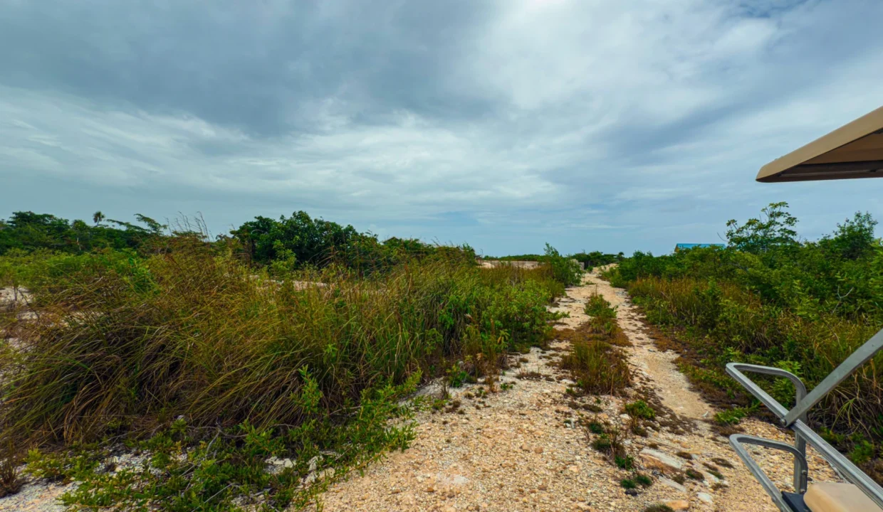 kellerwilliamsbelize-p-8115-jm-10