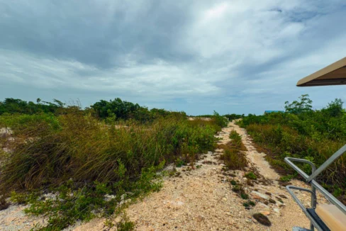 kellerwilliamsbelize-p-8115-jm-10