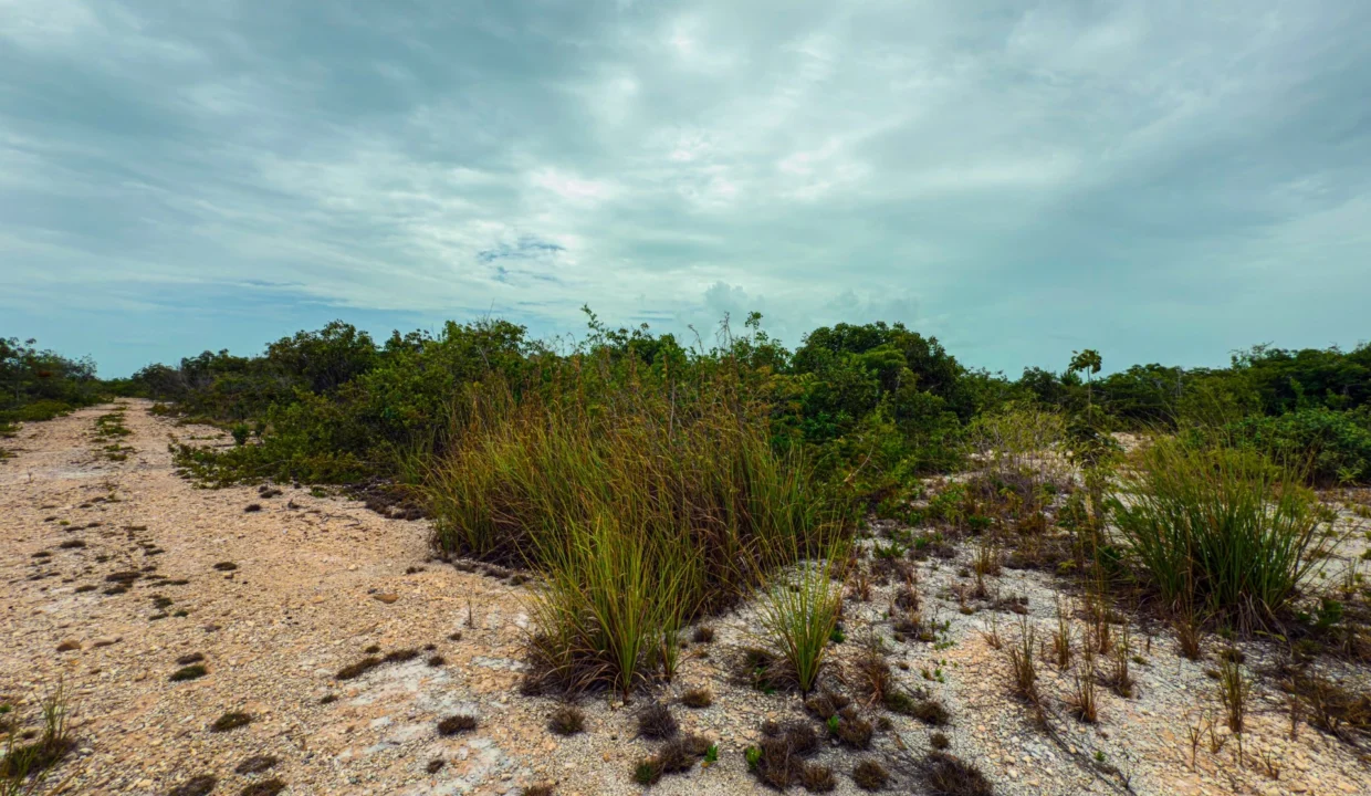 kellerwilliamsbelize-p-8115-jm-11