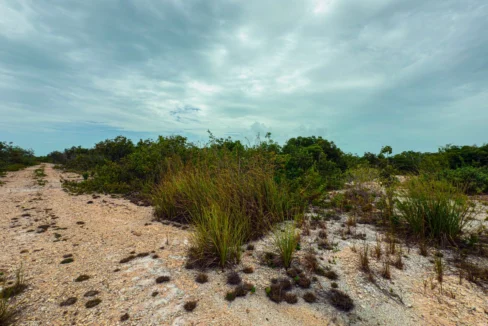kellerwilliamsbelize-p-8115-jm-11
