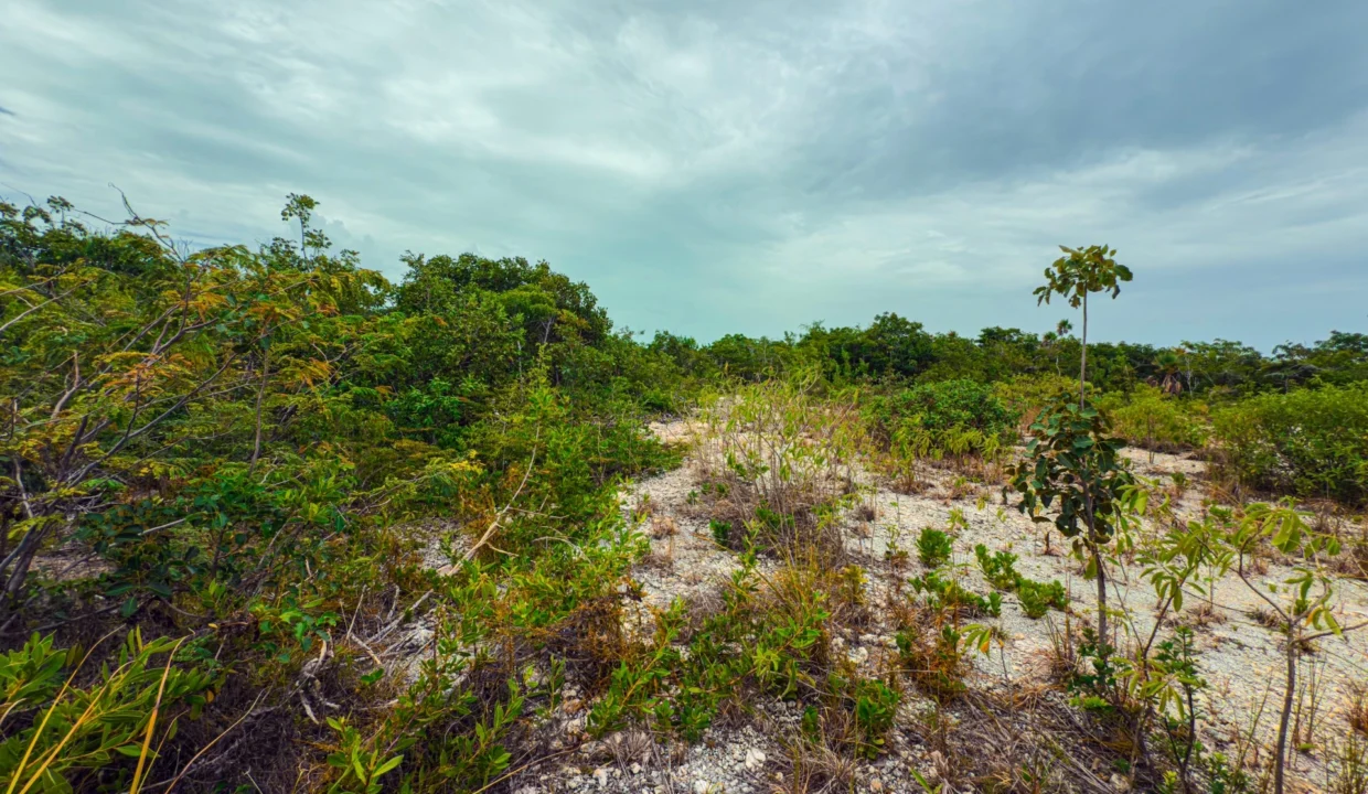 kellerwilliamsbelize-p-8115-jm-12