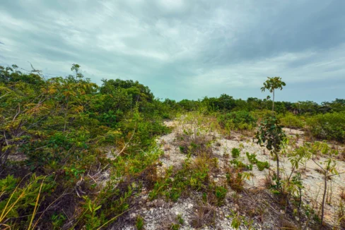 kellerwilliamsbelize-p-8115-jm-12