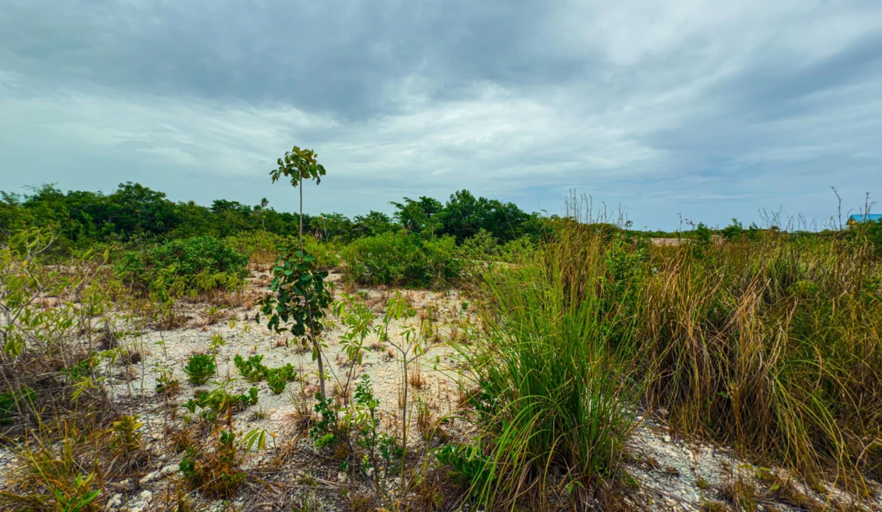 kellerwilliamsbelize-p-8115-jm-13