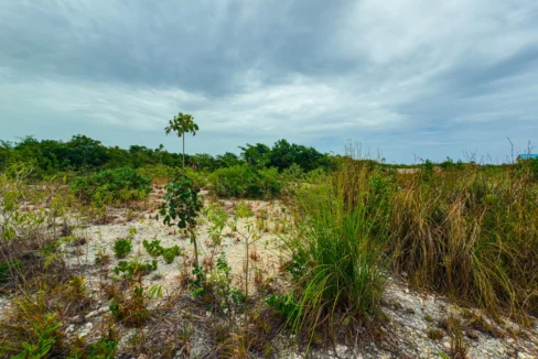 kellerwilliamsbelize-p-8115-jm-13