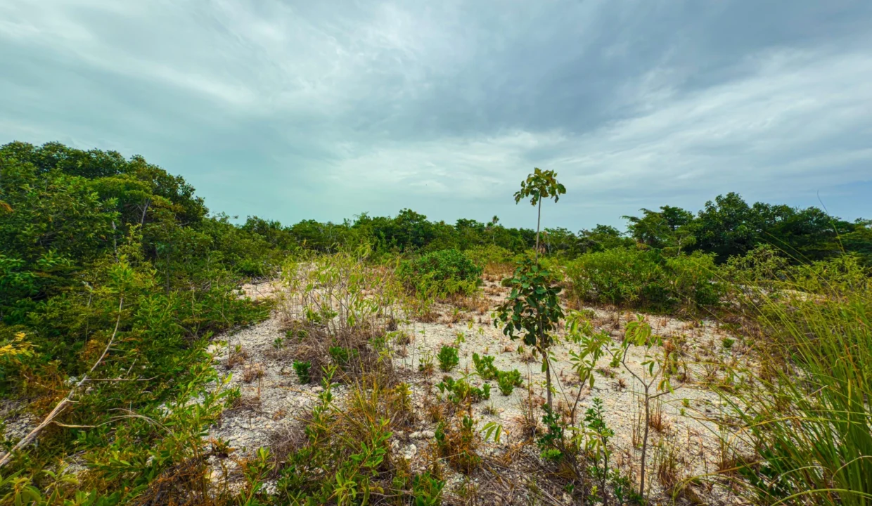 kellerwilliamsbelize-p-8115-jm-14