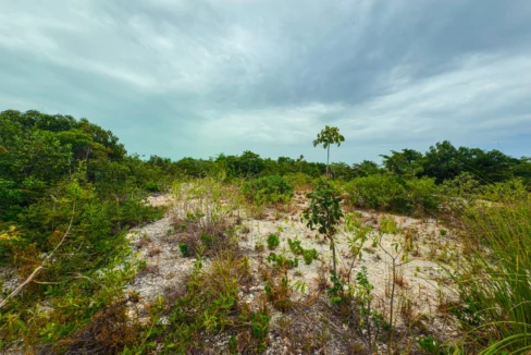 kellerwilliamsbelize-p-8115-jm-14