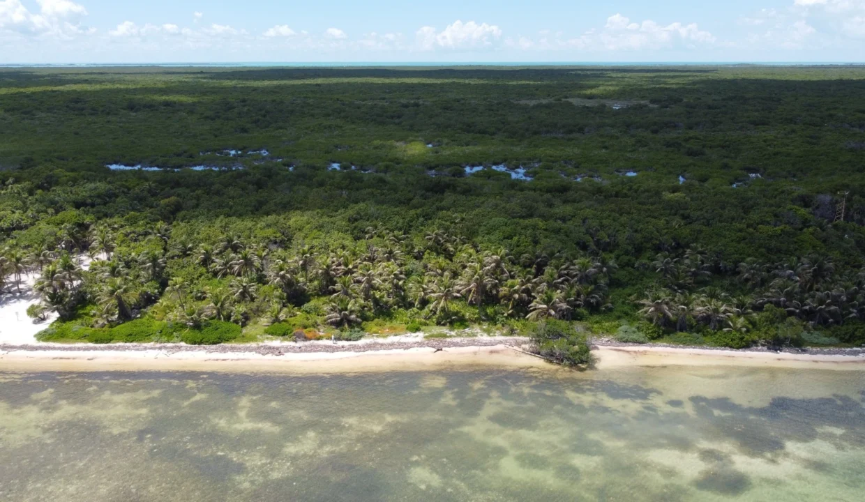 kellerwilliamsbelize-roblespoint-01