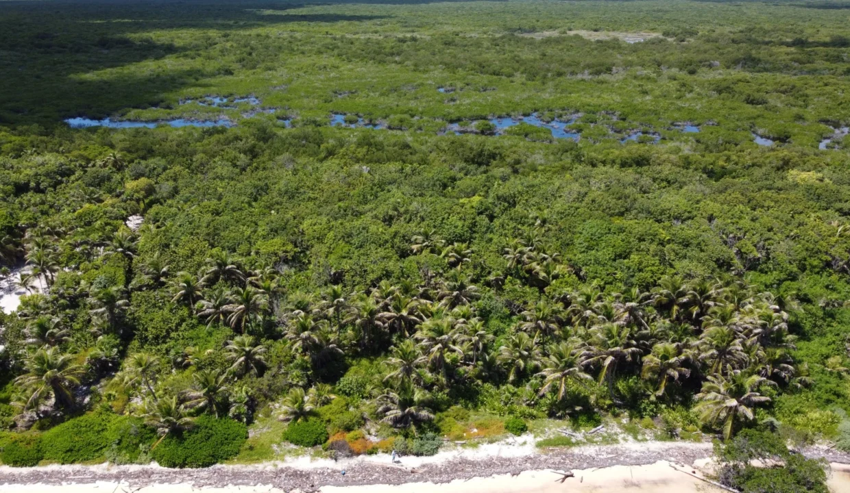 kellerwilliamsbelize-roblespoint-03