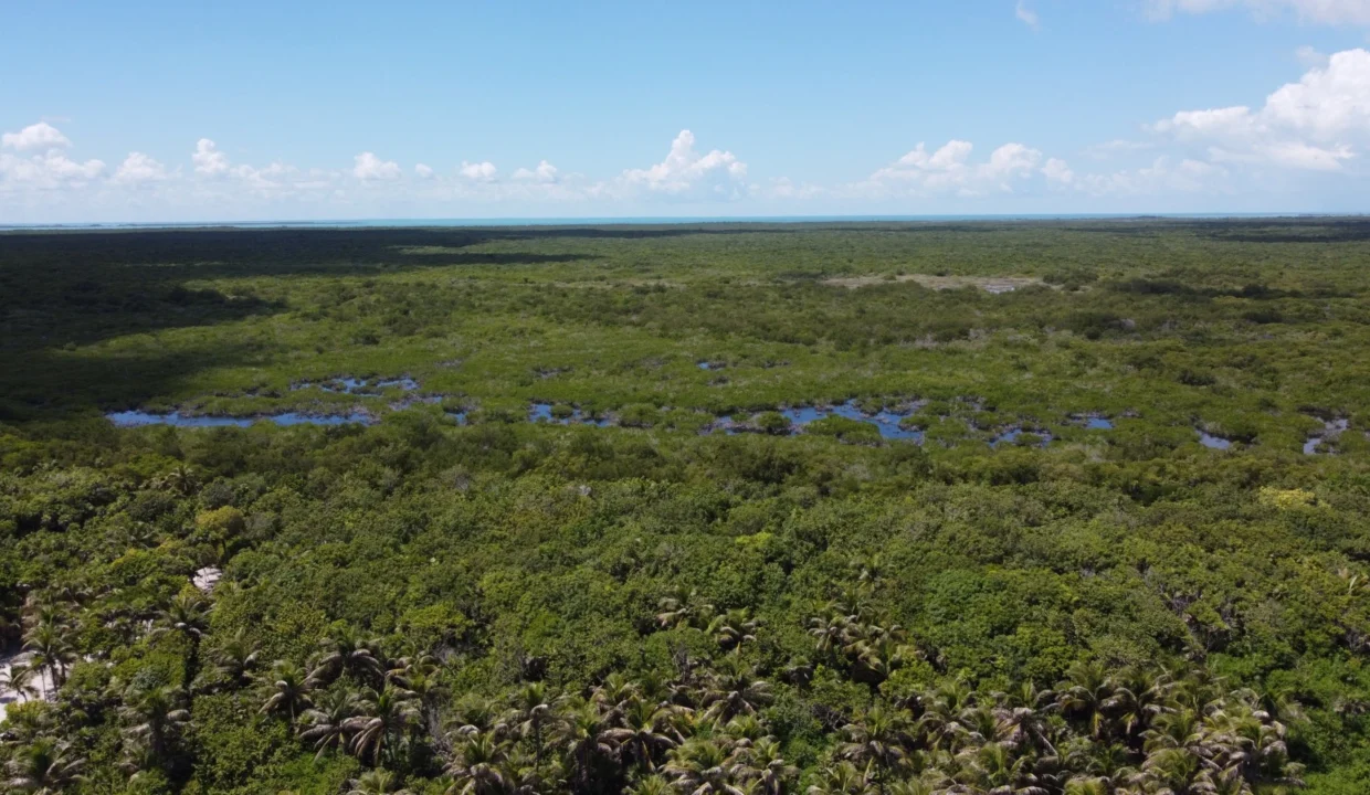 kellerwilliamsbelize-roblespoint-04