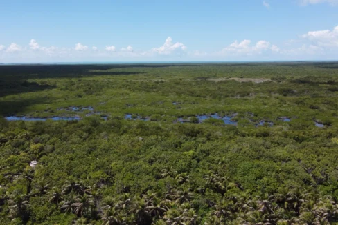 kellerwilliamsbelize-roblespoint-04